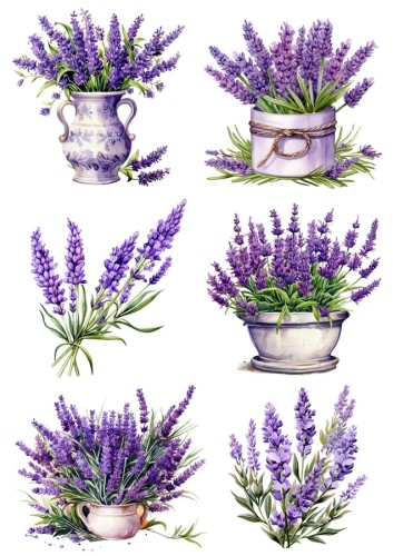 55.jpg