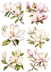 Papier ryżowy A4 do decoupage Artando  - kwiaty, kwiatki wiosenne , magnolia