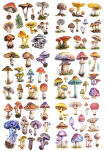 Papier ryżowy A4 do decoupage Artando - grzyby, grzybki