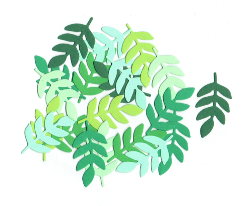 r41.png