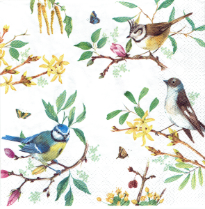 Serwetka decoupage 33x33 cm - ptaki, ptaszki, gałązki, kwiaty