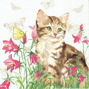 Serwetka decoupage 33x33 cm - kot, kotek, kwiaty