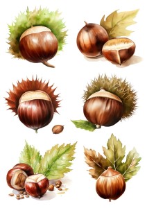 Papier ryżowy A4 Artando do decoupage - kasztany, orzechy, liście 