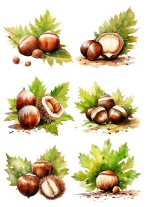 Papier ryżowy A4 Artando do decoupage - kasztany, orzechy, liście