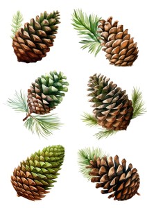 Papier ryżowy A4 Artando do decoupage - szyszki, szyszka, igły