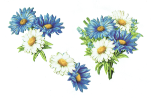 Scrapki papierowe z efektem 3D - kwiaty wiosenne, margerytki