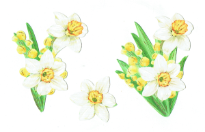 Scrapki papierowe z efektem 3D - kwiaty wiosenne, narcyzy, żonkile