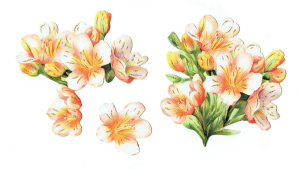 Scrapki papierowe z efektem 3D - kwiaty wiosenne, frezje