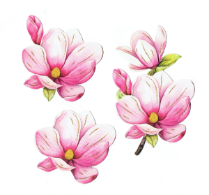 Scrapki papierowe z efektem 3D - kwiaty wiosenne, magnolia