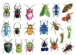 Naklejki foliowe zestaw 40 sztuk - owady, robaczki, żuki, ćmy