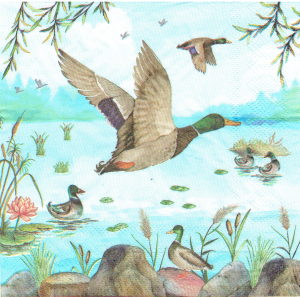Serwetka decoupage 33x33 cm - ptaki, dzikie kaczki, staw, trzcina