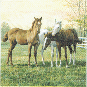 Serwetka decoupage mała 25x25cm - konie, koniki, łąka