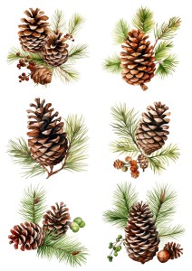 Papier ryżowy A4 do decoupage Artando - szyszki, szyszka, gałązki