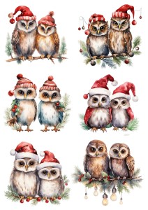 Papier ryżowy A4 do decoupage Artando - ptaki, ptaszki, sowy, sówki, zima