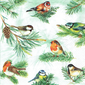 Serwetka decoupage 33x33 cm - ptaki, ptaszki, gałązki