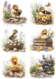 Papier ryżowy A4 Artando do decoupage - Wielkanoc, kaczki, ptaki, jajka, kwiaty 