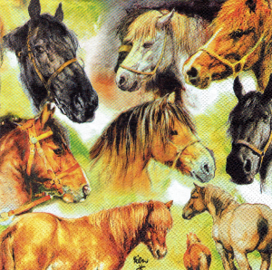 Serwetka decoupage 33x33 cm - konie, koniki, koń, konik