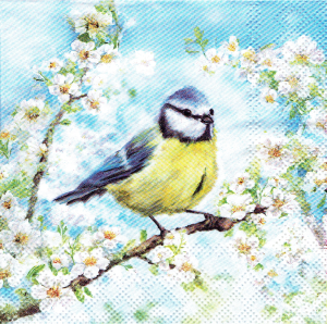Serwetka decoupage mała 25x25cm - ptak, sikorka, kwiaty, gałązki