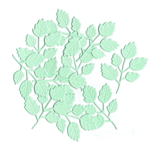 r244.png