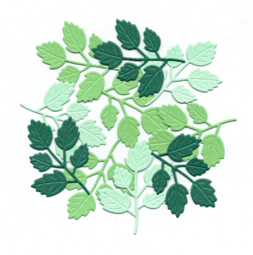 r246.png