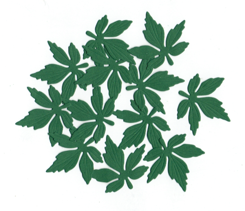 r254.png
