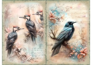 Papier ryżowy A4 Artando do decoupage - ptaki, kruk, dzięcioły, kwiaty, napisy, nuty
