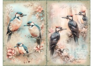 Papier ryżowy A4 Artando do decoupage - ptaki, dzięcioły, kwiaty, napisy