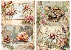 Papier ryżowy A4 Artando do decoupage - pająki, żaba, ślimak, kwiaty, róże, napisy,  Vintage