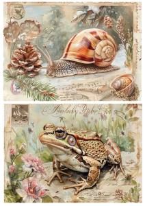 Papier ryżowy A4 Artando do decoupage - żaba, ślimak,  kwiaty, napisy,  Vintage
