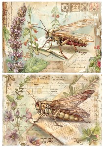 Papier ryżowy A4 Artando do decoupage - świerszcze, kwiaty, napisy,  Vintage