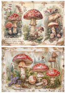 Papier ryżowy A4 Artando do decoupage - grzyby, muchomory, napisy,  Vintage