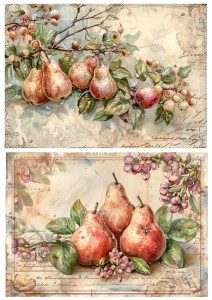 Papier ryżowy A4 Artando do decoupage - owoce, gruszki, napisy,  Vintage