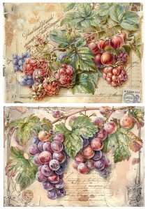 Papier ryżowy A4 Artando do decoupage - owoce, winogrona, jeżyny, napisy,  Vintage
