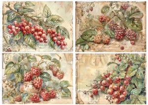 Papier ryżowy A4 Artando do decoupage - owoce,  porzeczki, maliny, jeżyny, napisy,  Vintage