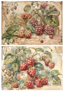 Papier ryżowy A4 Artando do decoupage - owoce, maliny, jeżyny, napisy,  Vintage