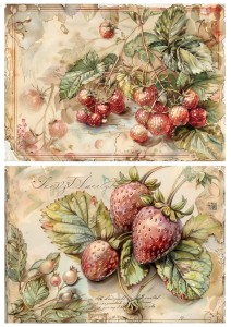 Papier ryżowy A4 Artando do decoupage - owoce, poziomki, napisy,  Vintage