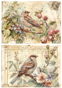 Papier ryżowy A4 Artando do decoupage - ptaki, kwiaty, róże, napisy,  Vintage