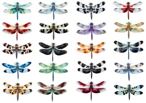 Naklejki, stickersy papierowe 20 sztuk - motyle, motylki (1)