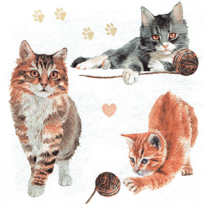 Serwetka decoupage 33x33 cm - koty kotki, kot, kotek