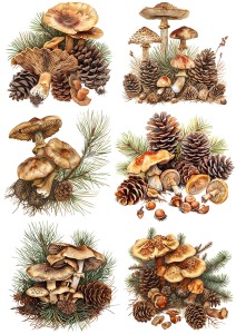 Papier klasyczny A4 do decoupage - grzyby, grzybki, szyszki