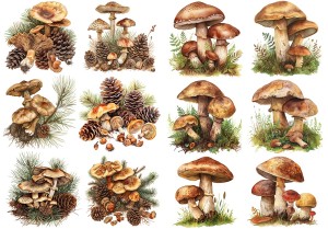 Papier klasyczny A4 do decoupage - grzyby, grzybki, szyszki, paprocie