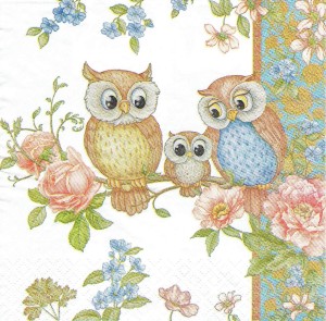 Serwetka decoupage 33x33 cm - ptaki, sowy, sówki