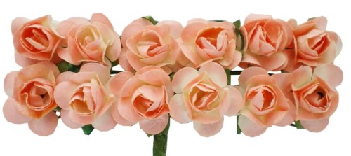 IMGP5911.JPG