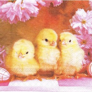 Serwetka decoupage 33x33 cm - kurczaki