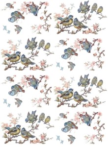 Papier klasyczny A4 do decoupage - ptaki, ptaszki