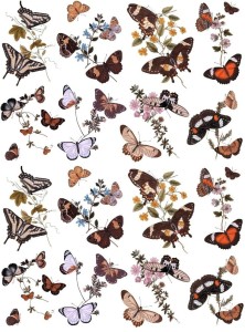 Papier klasyczny A4 do decoupage - motyle, motylki