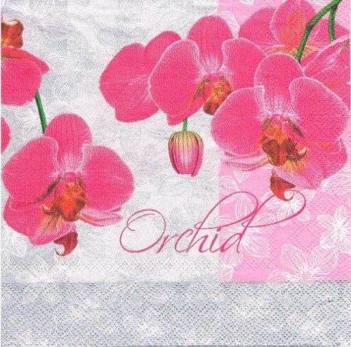 080.jpg
