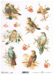 Papier ryżowy A4 ITD do decoupage - ptaki, ptaszki na gałęzi