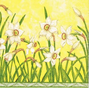 Serwetka decoupage 33x33 cm - kwiaty, narcyze
