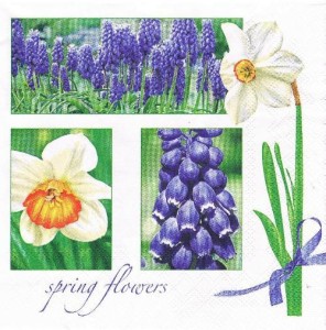 Serwetka decoupage 33x33 cm - narcyzy